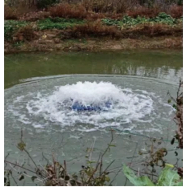 Spring Aerator suppliers